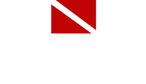 Ligure Watches